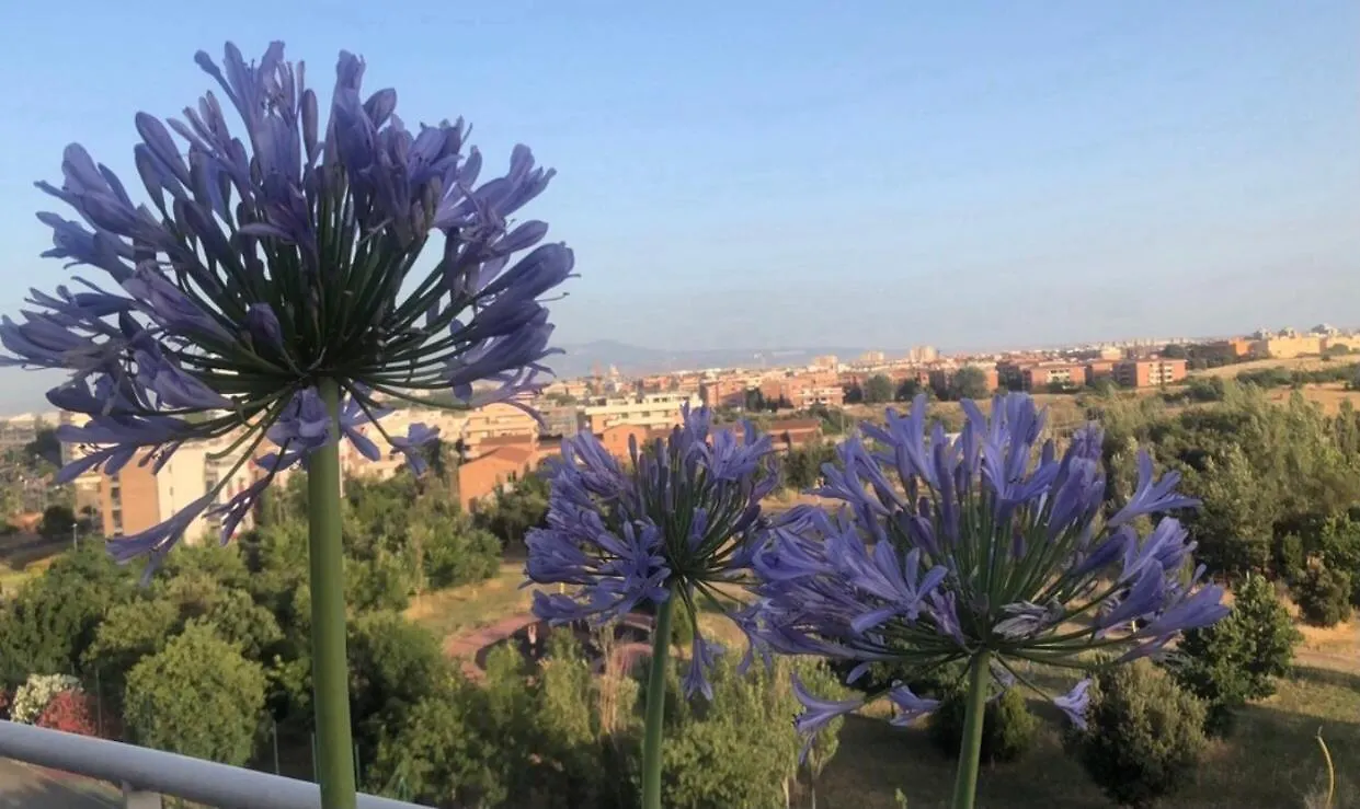 Homestay La Dolce Dimora Degli Angeli Apartment Rome